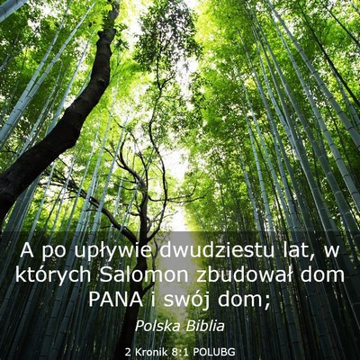 Picture 03 - 2 Kronik 8:1 POLUBG - A po upływie dwudziestu lat, w których Salomon - Bible Verse Picture