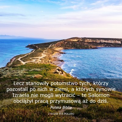 Picture 03 - 2 Kronik 8:8 POLUBG - Lecz stanowiły potomstwo tych, którzy pozostali - Bible Verse Picture