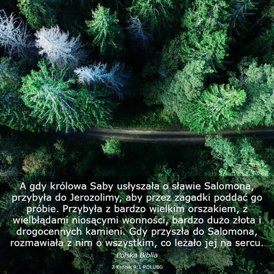Picture 03 - 2 Kronik 9:1 POLUBG - A gdy królowa Saby usłyszała o sławie - Bible Verse Picture