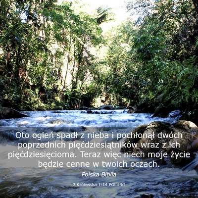 Picture 03 - 2 Królewska 1:14 POLUBG - Oto ogień spadł z nieba i pochłonął dwóch - Bible Verse Picture