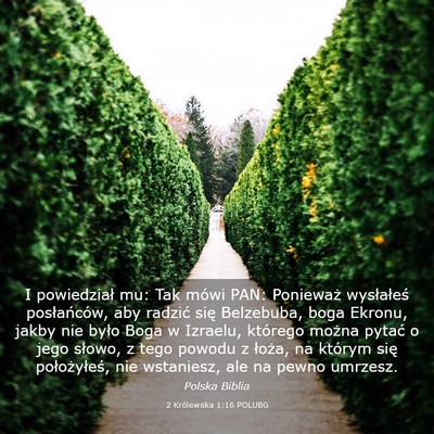 Picture 03 - 2 Królewska 1:16 POLUBG - I powiedział mu: Tak mówi PAN: Ponieważ - Bible Verse Picture