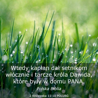 Picture 03 - 2 Królewska 11:10 POLUBG - Wtedy kapłan dał setnikom włócznie i tarcze - Bible Verse Picture