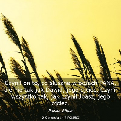 Picture 03 - 2 Królewska 14:3 POLUBG - Czynił on to, co słuszne w oczach PANA, ale nie - Bible Verse Picture