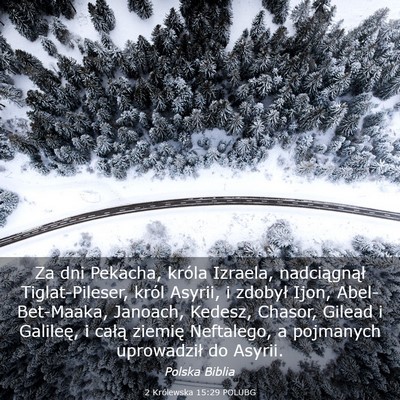 Picture 03 - 2 Królewska 15:29 POLUBG - Za dni Pekacha, króla Izraela, nadciągnął - Bible Verse Picture