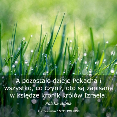 Picture 03 - 2 Królewska 15:31 POLUBG - A pozostałe dzieje Pekacha i wszystko, co - Bible Verse Picture