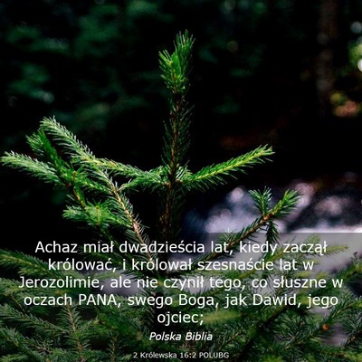Picture 03 - 2 Królewska 16:2 POLUBG - Achaz miał dwadzieścia lat, kiedy zaczął - Bible Verse Picture