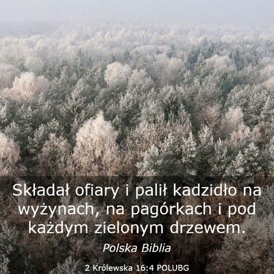 Picture 03 - 2 Królewska 16:4 POLUBG - Składał ofiary i palił kadzidło na wyżynach, - Bible Verse Picture