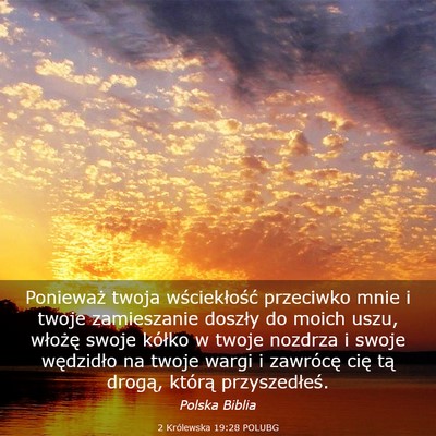 Picture 03 - 2 Królewska 19:28 POLUBG - Ponieważ twoja wściekłość przeciwko mnie i - Bible Verse Picture