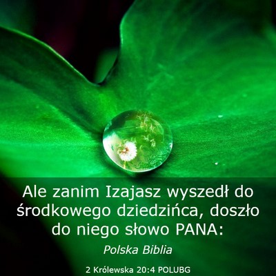 Picture 03 - 2 Królewska 20:4 POLUBG - Ale zanim Izajasz wyszedł do środkowego - Bible Verse Picture