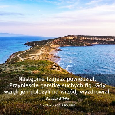 Picture 03 - 2 Królewska 20:7 POLUBG - Następnie Izajasz powiedział: Przynieście - Bible Verse Picture