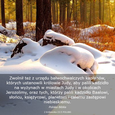 Picture 03 - 2 Królewska 23:5 POLUBG - Zwolnił też z urzędu bałwochwalczych - Bible Verse Picture