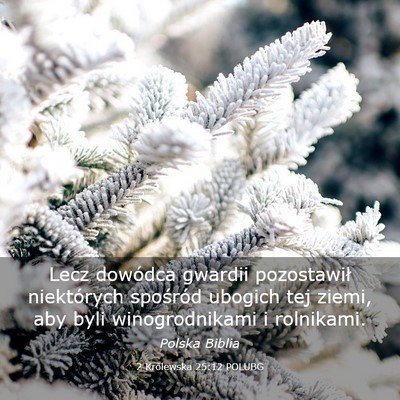 Picture 03 - 2 Królewska 25:12 POLUBG - Lecz dowódca gwardii pozostawił niektórych - Bible Verse Picture