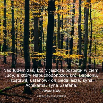 Picture 03 - 2 Królewska 25:22 POLUBG - Nad ludem zaś, który jeszcze pozostał w ziemi - Bible Verse Picture