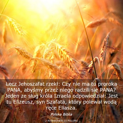 Picture 03 - 2 Królewska 3:11 POLUBG - Lecz Jehoszafat rzekł: Czy nie ma tu proroka - Bible Verse Picture