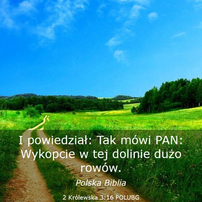 Picture 03 - 2 Królewska 3:16 POLUBG - I powiedział: Tak mówi PAN: Wykopcie w tej - Bible Verse Picture