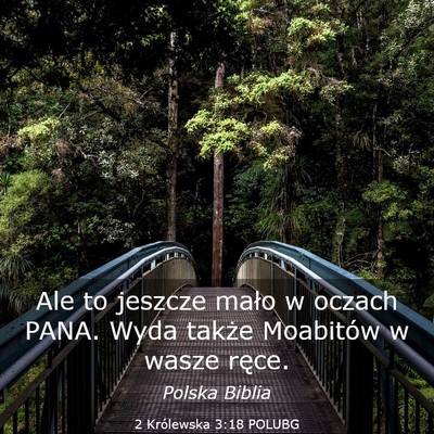 Picture 03 - 2 Królewska 3:18 POLUBG - Ale to jeszcze mało w oczach PANA. Wyda także - Bible Verse Picture