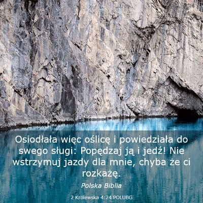 Picture 03 - 2 Królewska 4:24 POLUBG - Osiodłała więc oślicę i powiedziała do - Bible Verse Picture