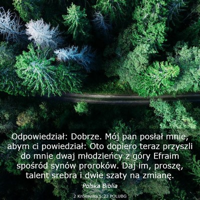 Picture 03 - 2 Królewska 5:22 POLUBG - Odpowiedział: Dobrze. Mój pan posłał mnie, - Bible Verse Picture