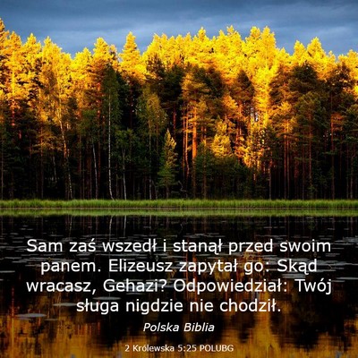 Picture 03 - 2 Królewska 5:25 POLUBG - Sam zaś wszedł i stanął przed swoim panem. - Bible Verse Picture