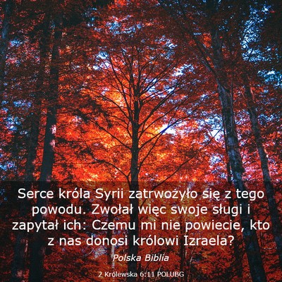 Picture 03 - 2 Królewska 6:11 POLUBG - Serce króla Syrii zatrwożyło się z tego - Bible Verse Picture