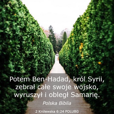 Picture 03 - 2 Królewska 6:24 POLUBG - Potem Ben-Hadad, król Syrii, zebrał całe swoje - Bible Verse Picture