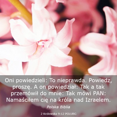 Picture 03 - 2 Królewska 9:12 POLUBG - Oni powiedzieli: To nieprawda. Powiedz, proszę. - Bible Verse Picture