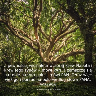 Picture 03 - 2 Królewska 9:26 POLUBG - Z pewnością widziałem wczoraj krew Nabota i - Bible Verse Picture