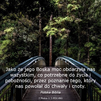 Picture 03 - 2 Piotra 1:3 POLUBG - Jako że jego Boska moc obdarzyła nas wszystkim, - Bible Verse Picture
