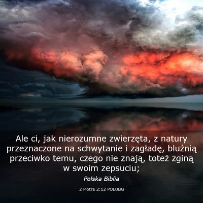 Picture 03 - 2 Piotra 2:12 POLUBG - Ale ci, jak nierozumne zwierzęta, z natury - Bible Verse Picture