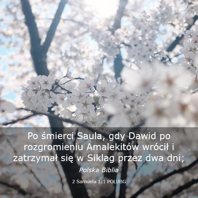 Picture 03 - 2 Samuela 1:1 POLUBG - Po śmierci Saula, gdy Dawid po rozgromieniu - Bible Verse Picture