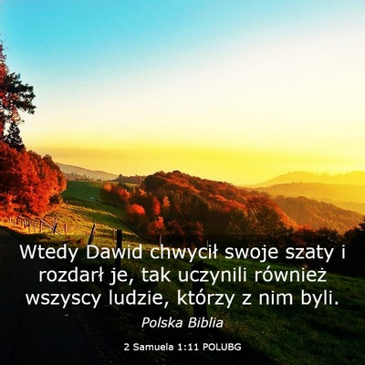 Picture 03 - 2 Samuela 1:11 POLUBG - Wtedy Dawid chwycił swoje szaty i rozdarł je, - Bible Verse Picture