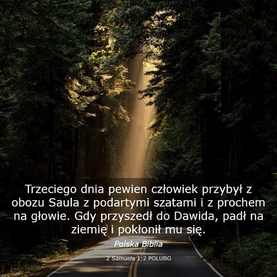 Picture 03 - 2 Samuela 1:2 POLUBG - Trzeciego dnia pewien człowiek przybył z obozu - Bible Verse Picture