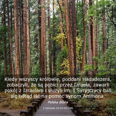 Picture 03 - 2 Samuela 10:19 POLUBG - Kiedy wszyscy królowie, poddani Hadadezera, - Bible Verse Picture
