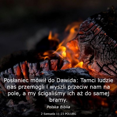 Picture 03 - 2 Samuela 11:23 POLUBG - Posłaniec mówił do Dawida: Tamci ludzie nas - Bible Verse Picture