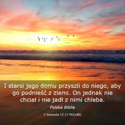 Picture 03 - 2 Samuela 12:17 POLUBG - I starsi jego domu przyszli do niego, aby go - Bible Verse Picture