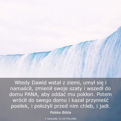 Picture 03 - 2 Samuela 12:20 POLUBG - Wtedy Dawid wstał z ziemi, umył się i - Bible Verse Picture