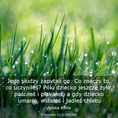 Picture 03 - 2 Samuela 12:21 POLUBG - Jego słudzy zapytali go: Co znaczy to, co - Bible Verse Picture