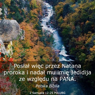 Picture 03 - 2 Samuela 12:25 POLUBG - Posłał więc przez Natana proroka i nadał mu - Bible Verse Picture