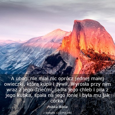 Picture 03 - 2 Samuela 12:3 POLUBG - A ubogi nie miał nic oprócz jednej małej - Bible Verse Picture