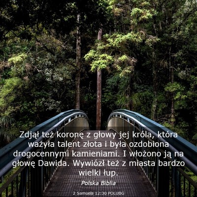 Picture 03 - 2 Samuela 12:30 POLUBG - Zdjął też koronę z głowy jej króla, która - Bible Verse Picture