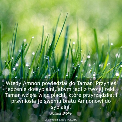 Picture 03 - 2 Samuela 13:10 POLUBG - Wtedy Amnon powiedział do Tamar: Przynieś - Bible Verse Picture