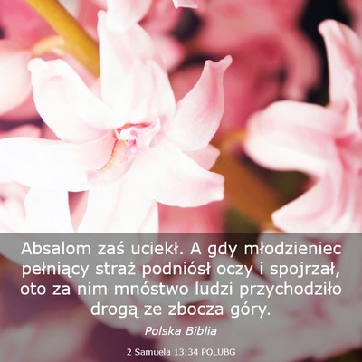 Picture 03 - 2 Samuela 13:34 POLUBG - Absalom zaś uciekł. A gdy młodzieniec - Bible Verse Picture