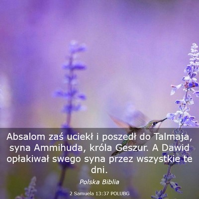 Picture 03 - 2 Samuela 13:37 POLUBG - Absalom zaś uciekł i poszedł do Talmaja, syna - Bible Verse Picture