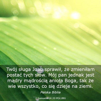Picture 03 - 2 Samuela 14:20 POLUBG - Twój sługa Joab sprawił, że zmieniłam - Bible Verse Picture