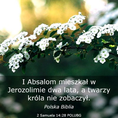 Picture 03 - 2 Samuela 14:28 POLUBG - I Absalom mieszkał w Jerozolimie dwa lata, a - Bible Verse Picture