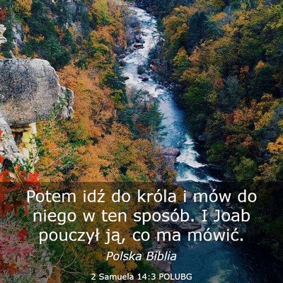 Picture 03 - 2 Samuela 14:3 POLUBG - Potem idź do króla i mów do niego w ten - Bible Verse Picture