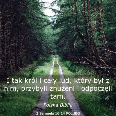 Picture 03 - 2 Samuela 16:14 POLUBG - I tak król i cały lud, który był z nim, - Bible Verse Picture