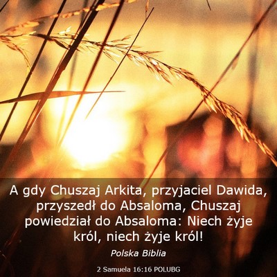 Picture 03 - 2 Samuela 16:16 POLUBG - A gdy Chuszaj Arkita, przyjaciel Dawida, - Bible Verse Picture