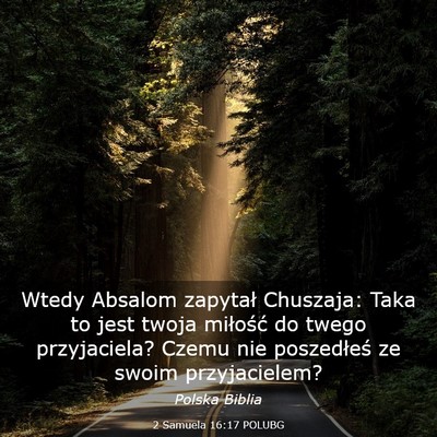 Picture 03 - 2 Samuela 16:17 POLUBG - Wtedy Absalom zapytał Chuszaja: Taka to jest - Bible Verse Picture