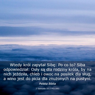 Picture 03 - 2 Samuela 16:2 POLUBG - Wtedy król zapytał Sibę: Po co to? Siba - Bible Verse Picture